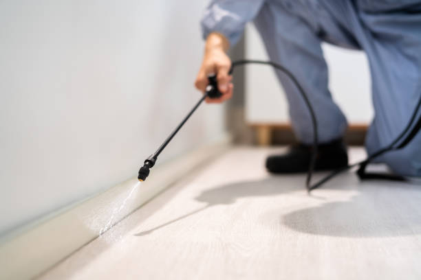 Certified termite inspector examining foundation in Lawrence